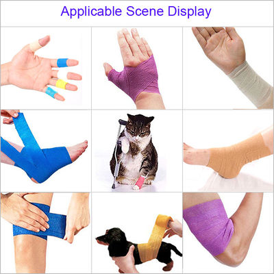 Child Pet sports hand tear able self-adhesive bandage  wholesale puppy dog Cohesive bandage tape green blue bandages